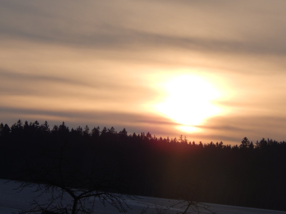 Zajíčkov