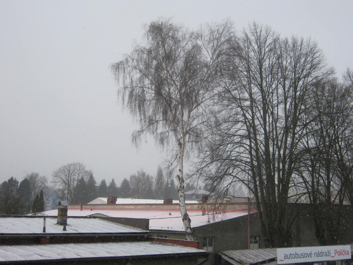 Polička