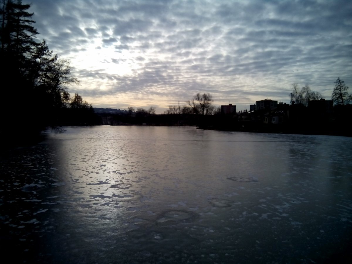 Borovina