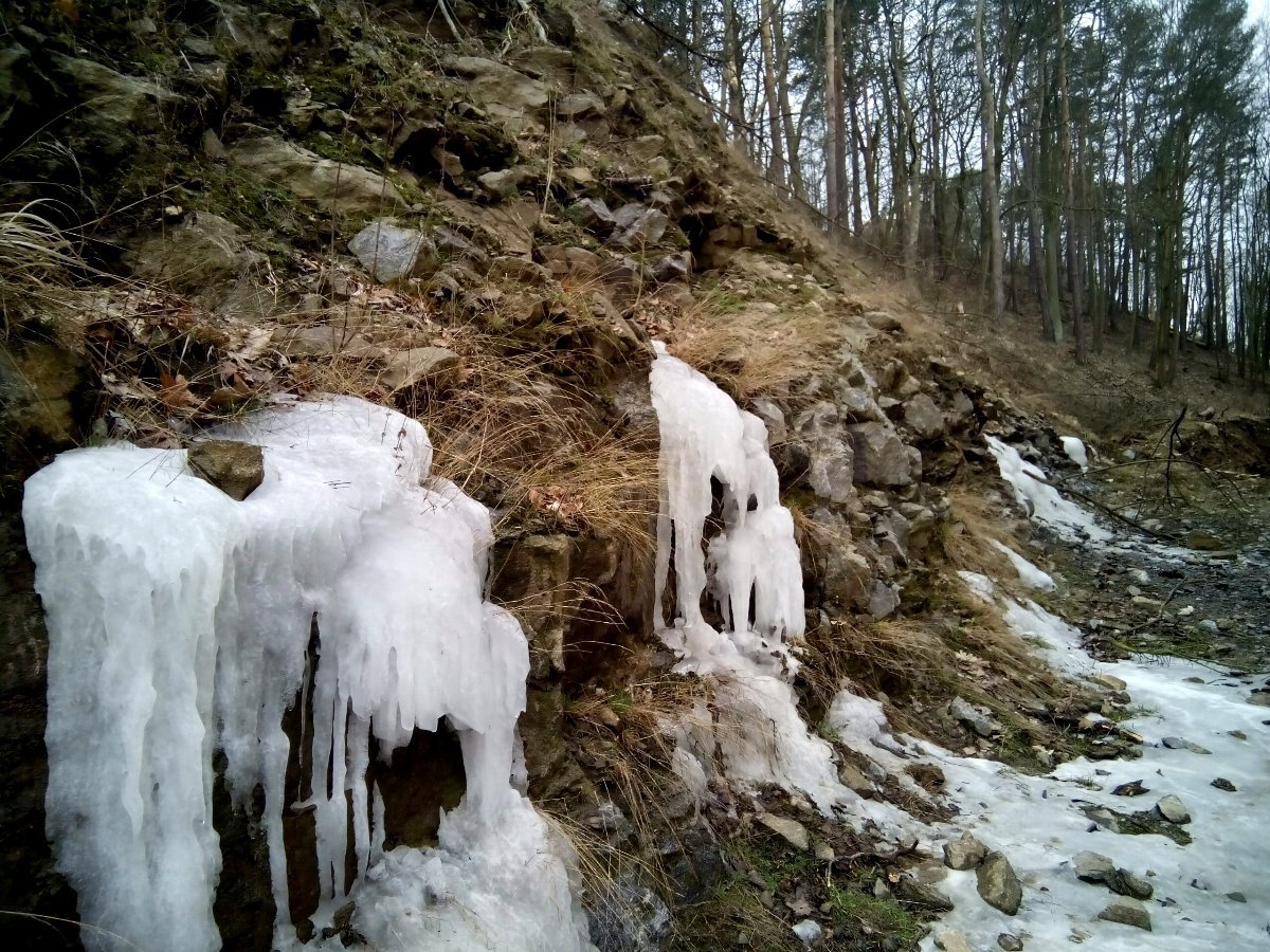Borovina