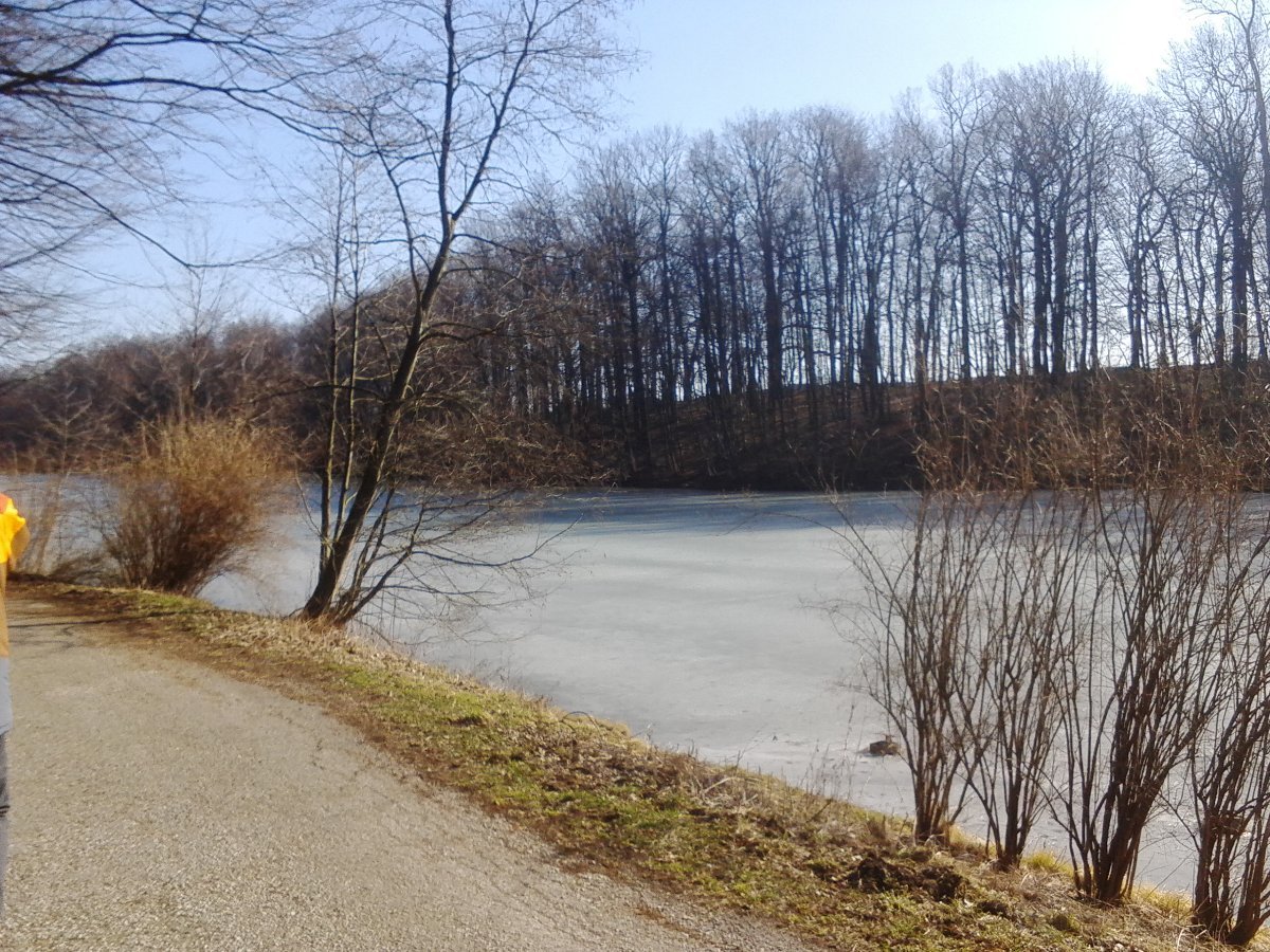 Český Těšín