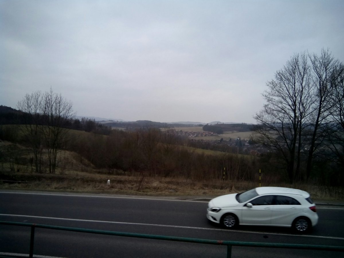 Borovina