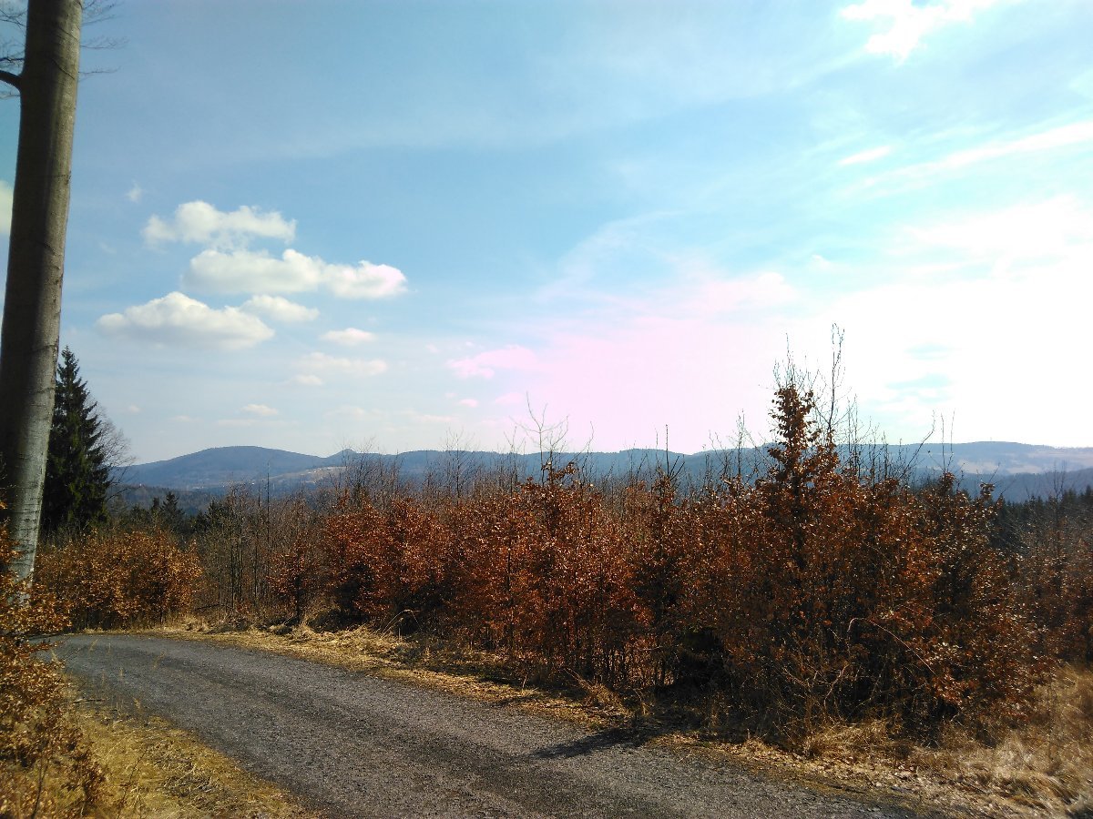 Líska