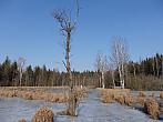 Dětenice-Brodek