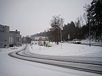 Borovina