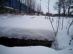 Borovina