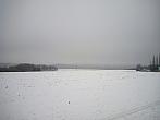 Borovina