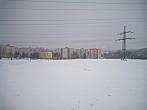 Borovina
