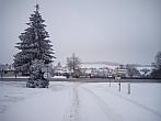 Markvartice