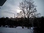 Borovina