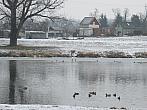 Neratovice