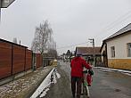Třibřichy