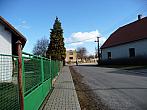 Třibřichy