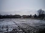 Borovina