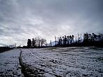 Borovina