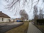 Třibřichy