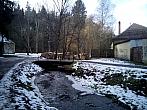 Borovina