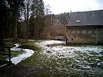 Borovina