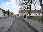 Třibřichy