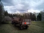 Borovina