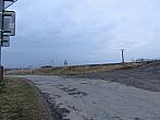 Třibřichy