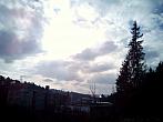 Borovina