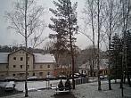 Borovina
