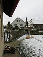 Třibřichy