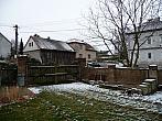 Třibřichy