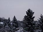 Jirkov