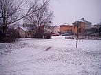 Borovina