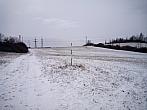 Borovina