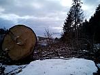 Borovina