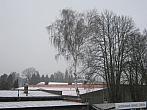 Polička