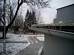 Borovina
