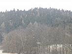 Zajíčkov
