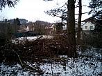Borovina