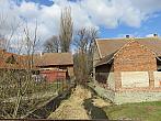 Třibřichy