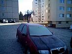 Borovina