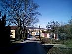 Borovina