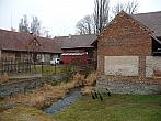 Třibřichy