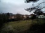 Borovina