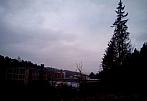 Borovina