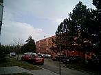 Borovina