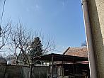 Třibřichy