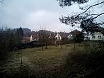 Borovina