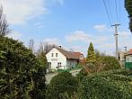 Třibřichy