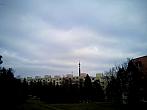 Borovina