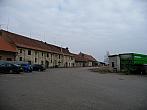 Třibřichy