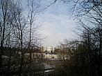 Borovina